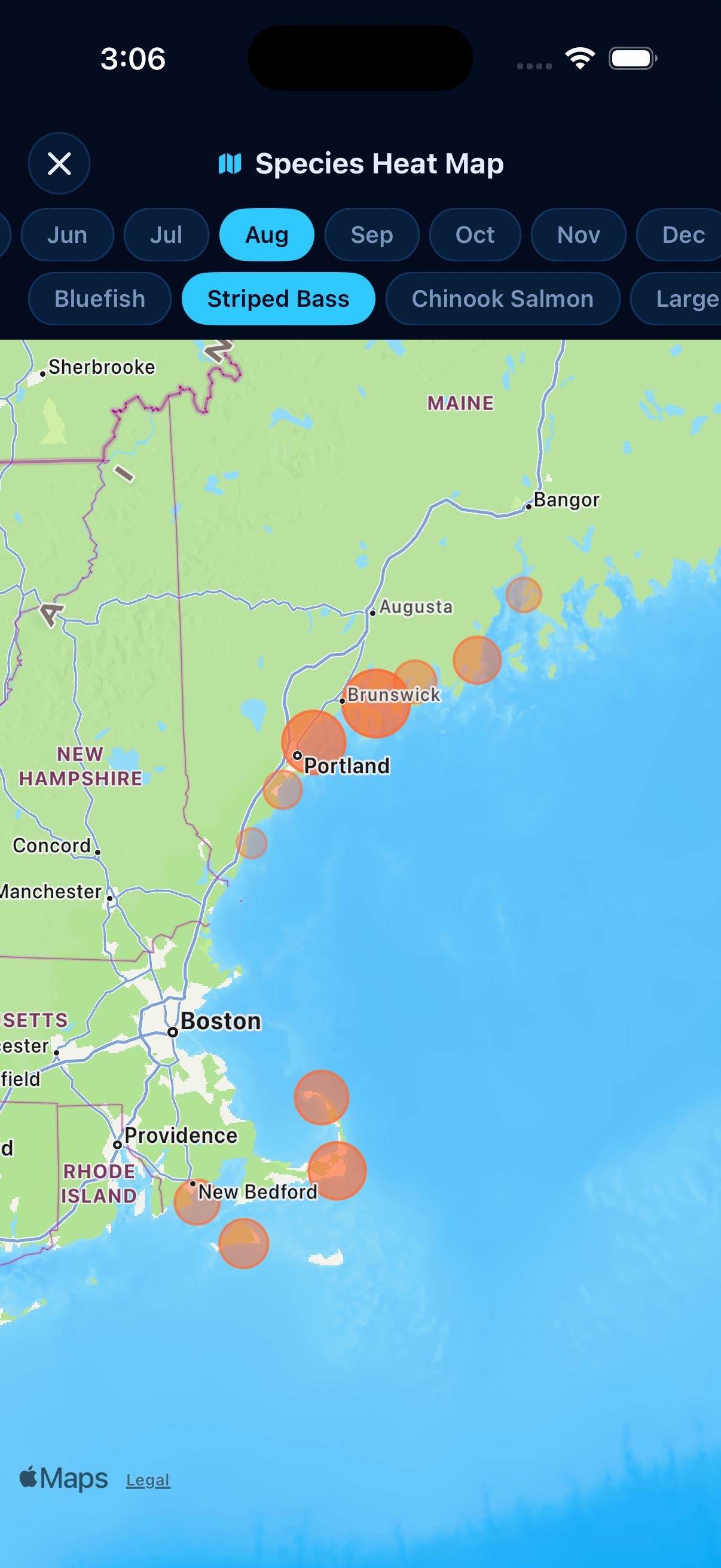 Striped Bass heatmap - Aug