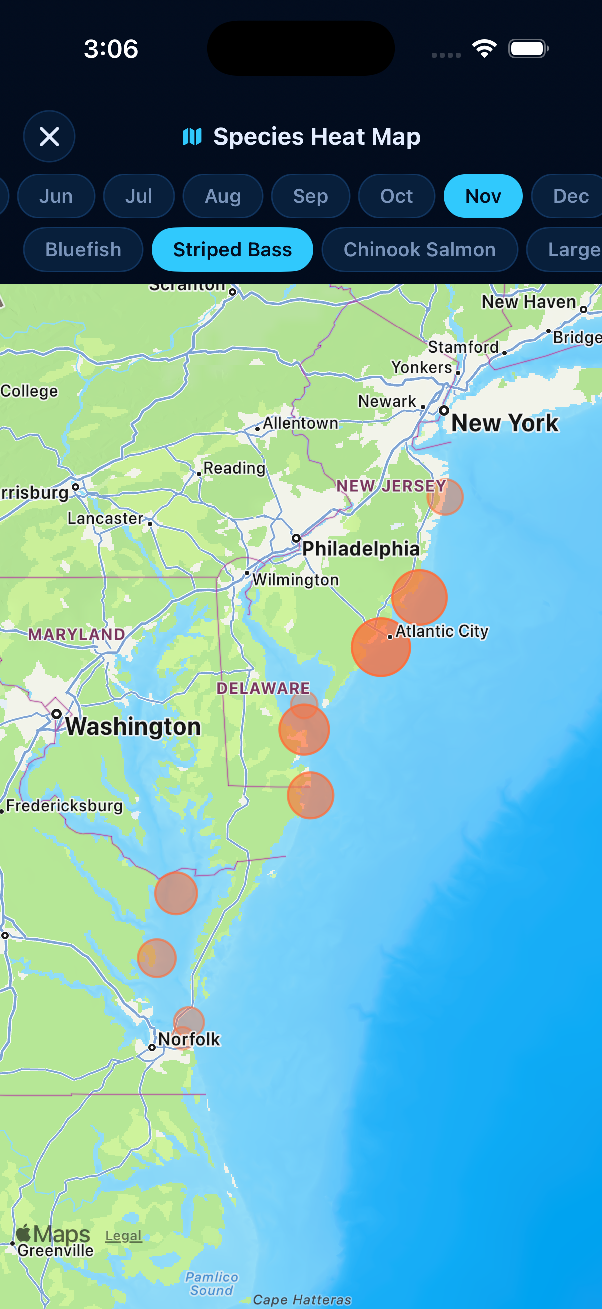 Striped Bass heatmap - Nov