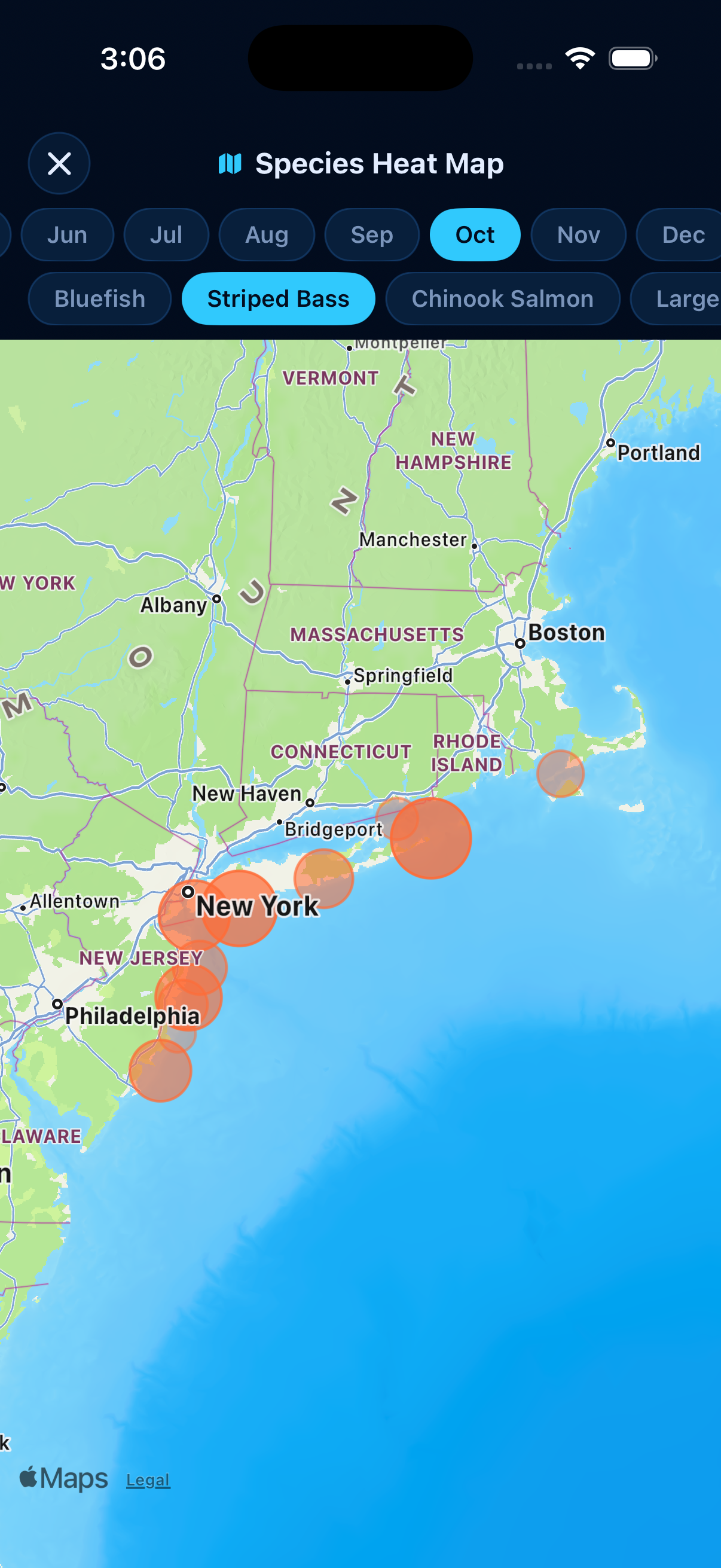 Striped Bass heatmap - Oct
