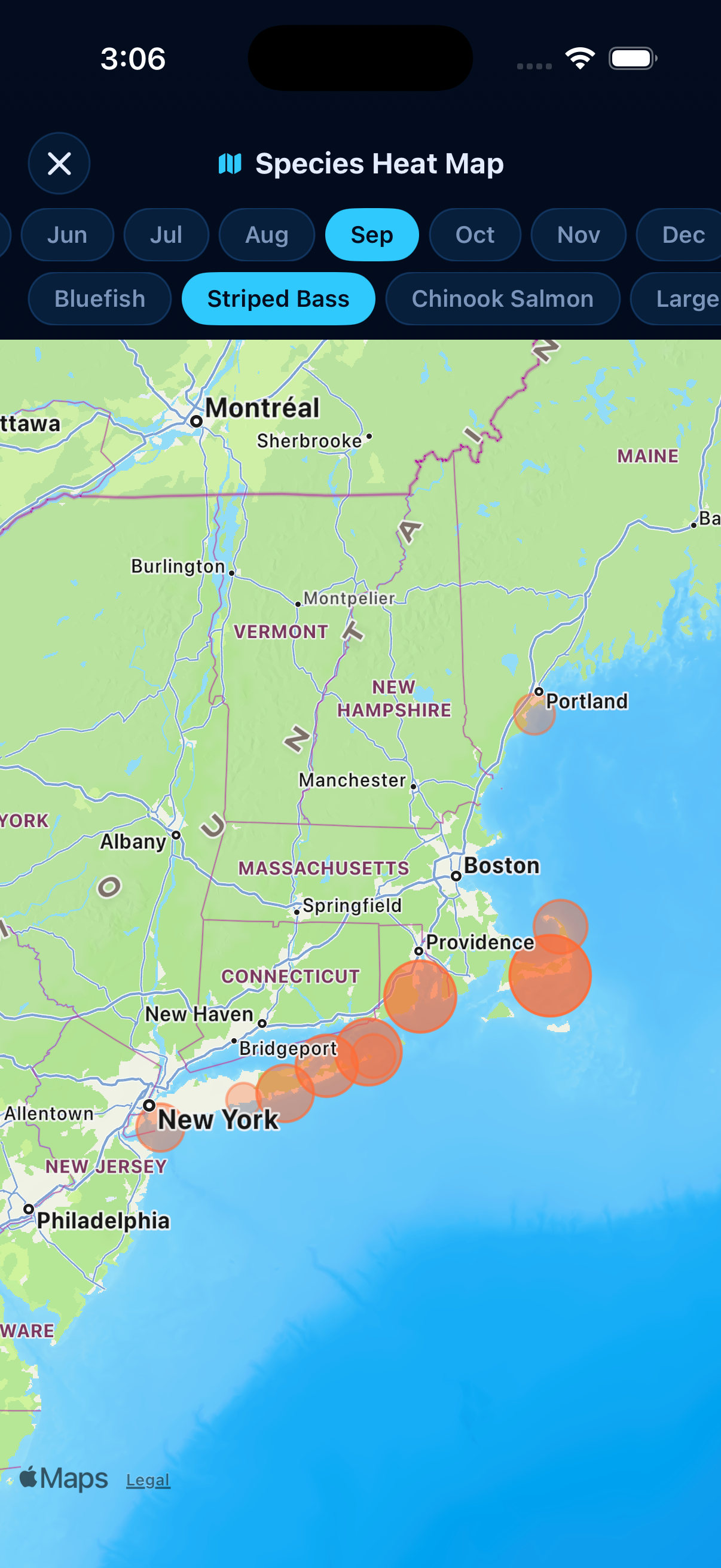 Striped Bass heatmap - Sep